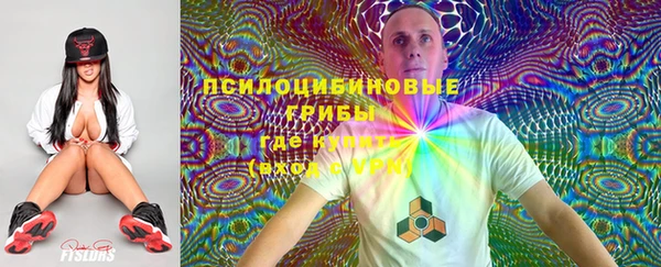 стафф Нягань