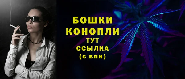гидра Нязепетровск