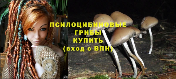 mdpv Няндома