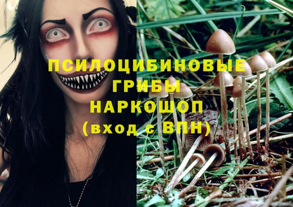 стафф Нягань