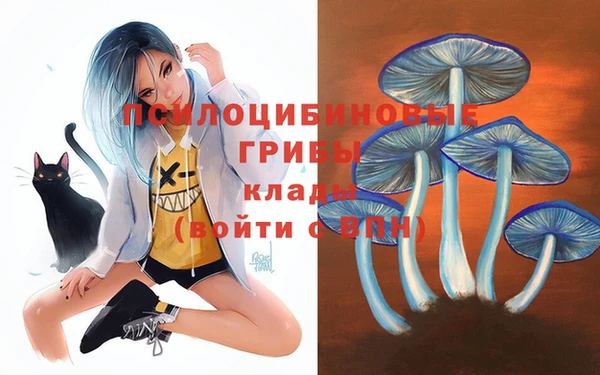 гидра Нязепетровск