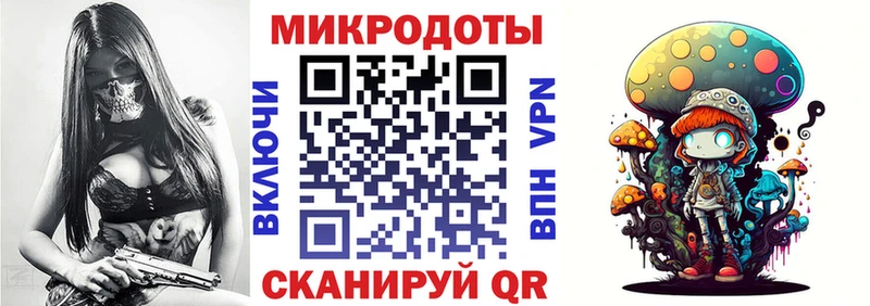 как найти   Алейск  Псилоцибиновые грибы MAGIC MUSHROOMS 