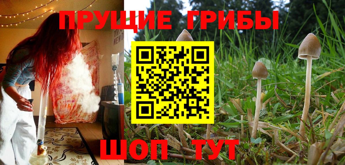 Галлюциногенные грибы мицелий Алейск