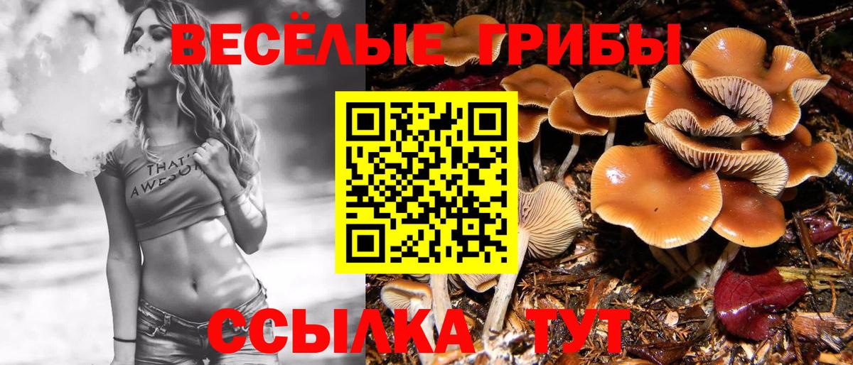 Псилоцибиновые грибы GOLDEN TEACHER  Вход с VPN  Алейск 