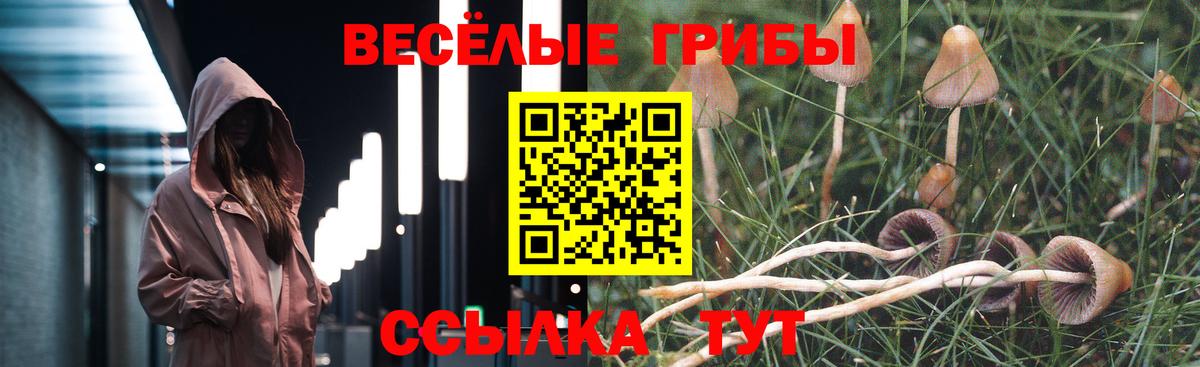 Молли  Codein  Марихуана  Алейск  Продажа наркотиков  МДМА  ГАШИШ  Мефедрон  Вейп ТГК  Вход с VPN  Мефедрон 